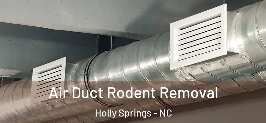  Air Duct Rodent Removal Holly Springs - NC