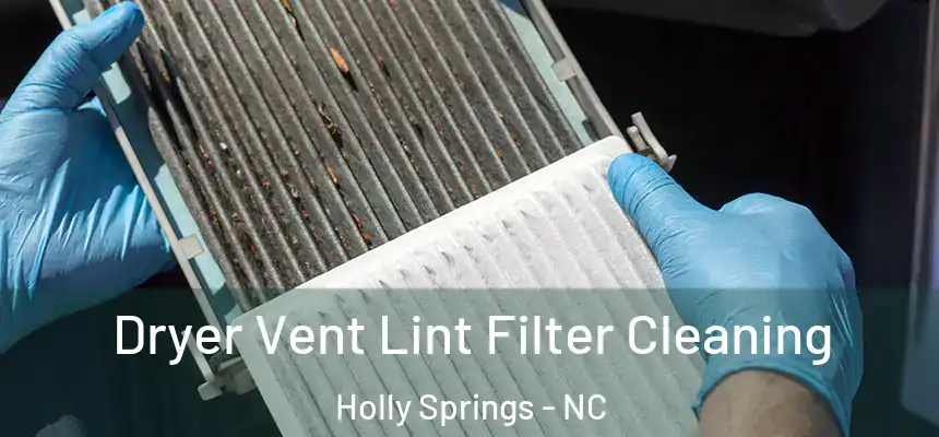  Dryer Vent Lint Filter Cleaning Holly Springs - NC