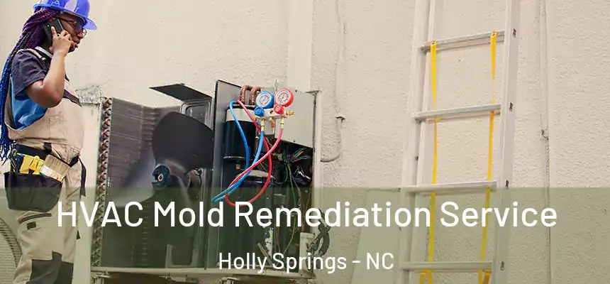  HVAC Mold Remediation Service Holly Springs - NC