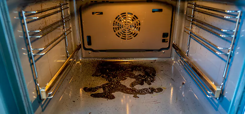 Our Dryer Vent Mold Cleaning Services in Holly Springs, NC