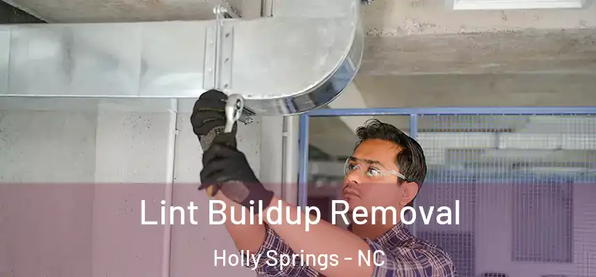  Lint Buildup Removal Holly Springs - NC
