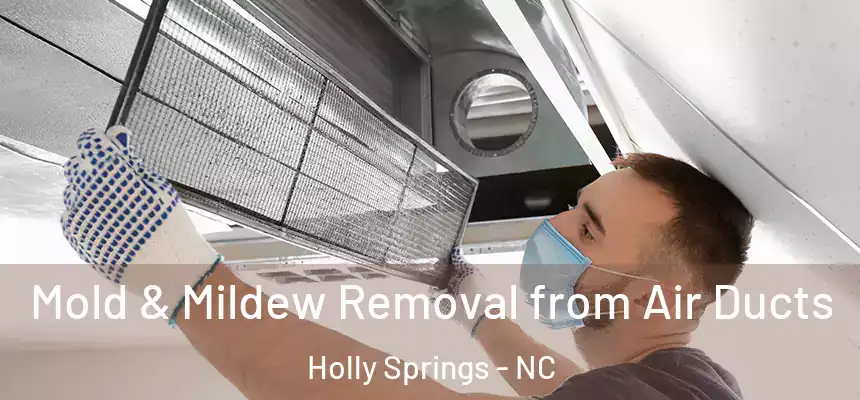  Mold & Mildew Removal from Air Ducts Holly Springs - NC