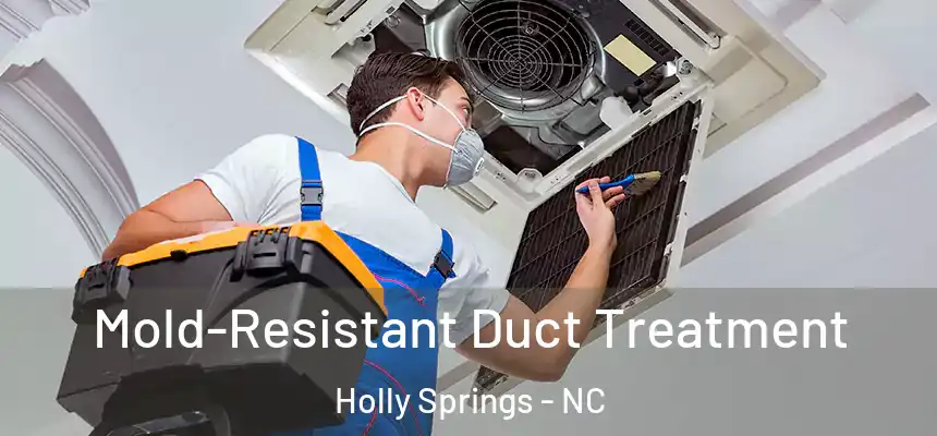  Mold-Resistant Duct Treatment Holly Springs - NC
