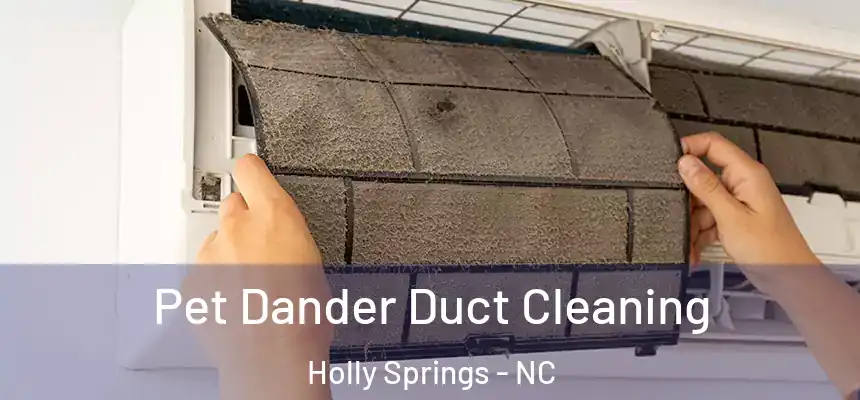  Pet Dander Duct Cleaning Holly Springs - NC