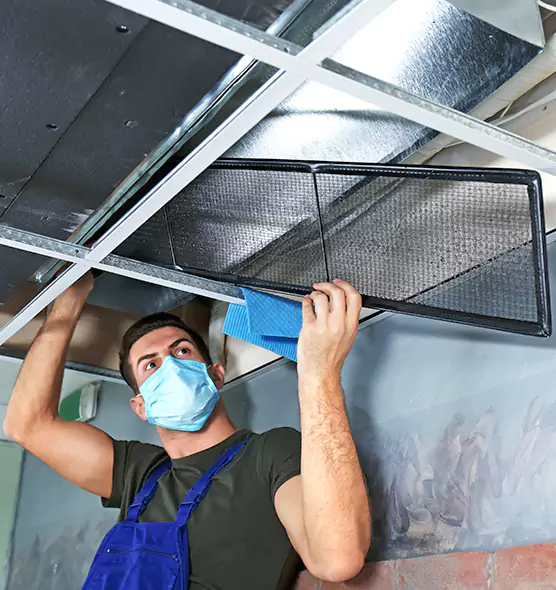 About Air Duct Bacteria Removal in Holly Springs