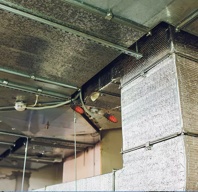 Why Homeowners & Businesses Trust Us in Holly Springs, NC?