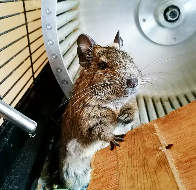 Why Homeowners & Businesses Trust Us Holly Springs, NC?