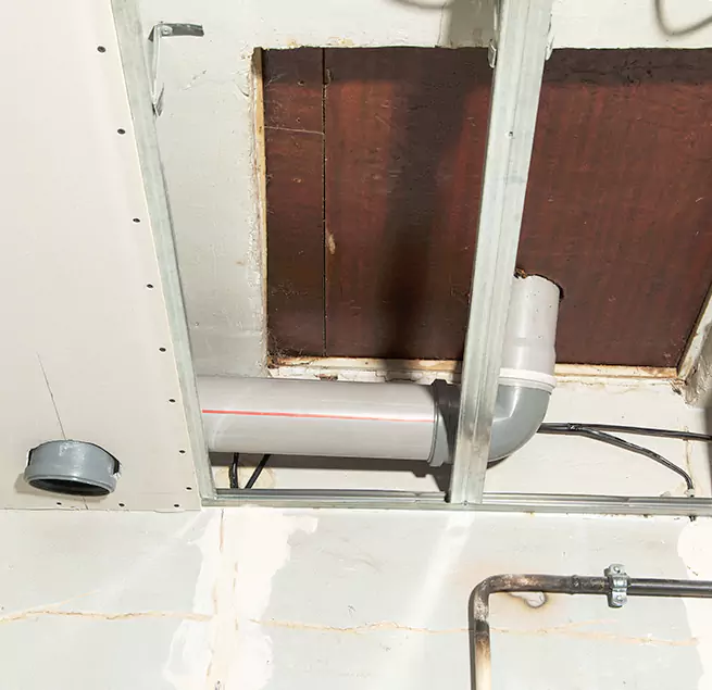 Why Homeowners & Businesses Trust Us in Holly Springs, NC?