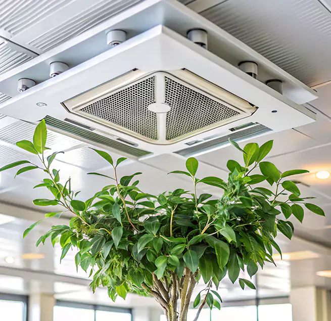 Why Homeowners & Businesses Trust Us in Holly Springs, NC