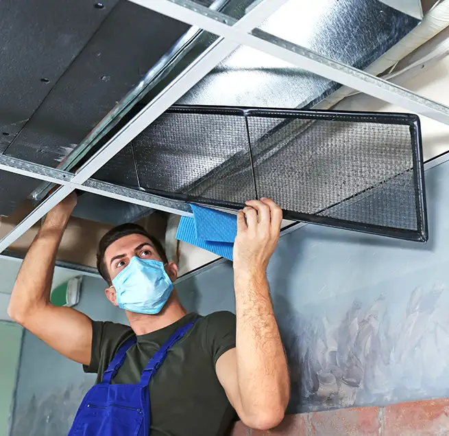 Why Homeowners & Businesses Trust Us in Holly Springs, NC?